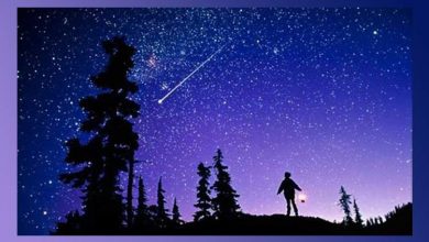 شهاب باران آسمان ایران در 22 مرداد 1398
