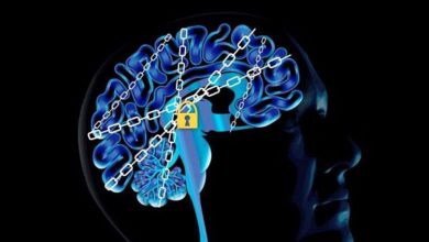 ۷ عادت خطرناک برای مغز که باید متوقف شوند