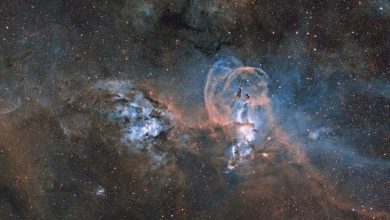 برترین عکاسان نجوم سال ۲۰۱۹ معرفی شدند + عکسها