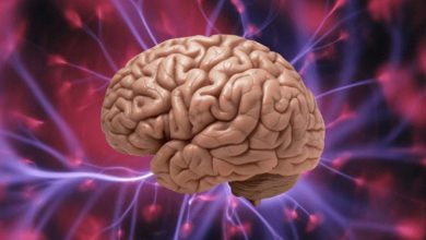 آیا خواب میتواند باعث فراموشی شود؟!