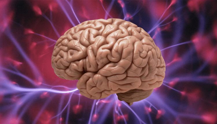 آیا خواب میتواند باعث فراموشی شود؟!