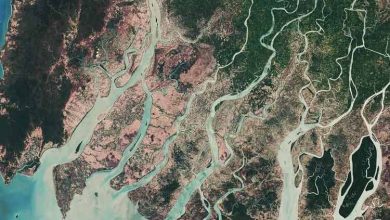 اقلیم‌های زیر‌زمین ممکن است به قدمت سطح زمین باشند