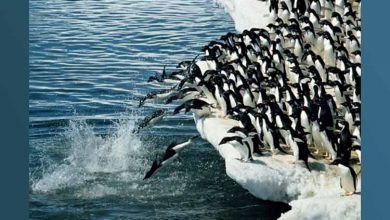 بدون عصر یخبندان جدید باید با زمین خداحافظی کرد!