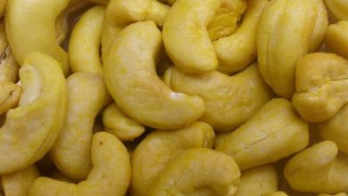 معجزه سلامت تنها با خوردن ۴ بادام هندی در روز!