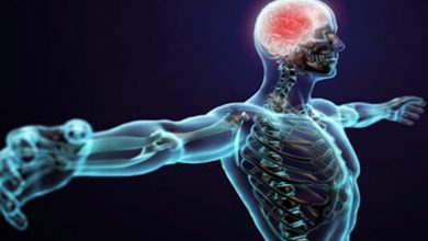 ۷ واقعیتی که نشان میدهد بدن شما چقدر خاص است