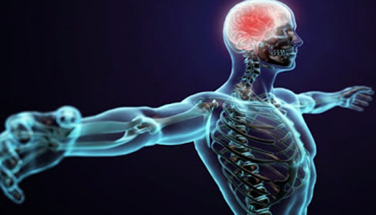 ۷ واقعیتی که نشان میدهد بدن شما چقدر خاص است