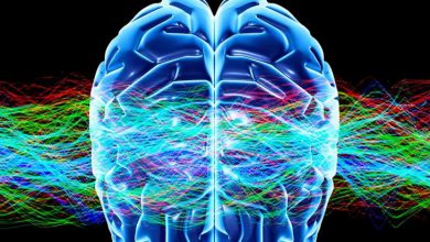 مکانیسم فوقالعاده مغز برای پذیرش واقعیت مرگ