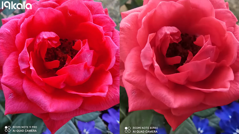 مقایسه note 8 pro با note 9 pro برای
