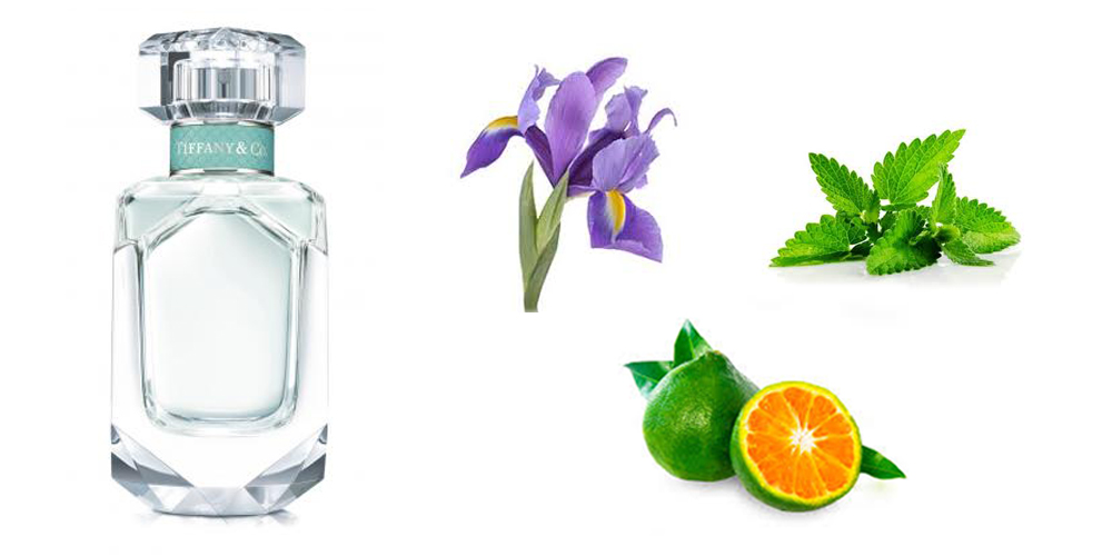 بهترین عطرهای زنانه پاییز ۲۰۱۷