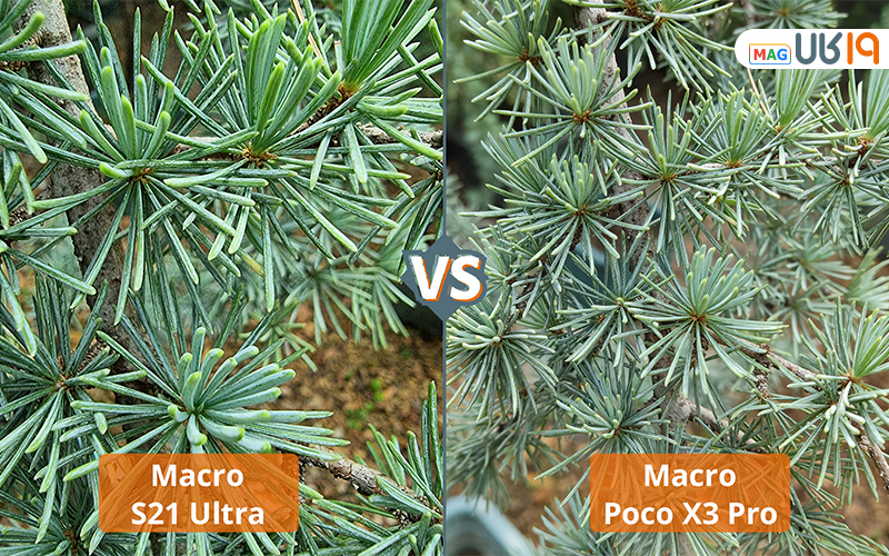 تفاوت گوشی های میان رده و پرچمدار از نظر دوربین