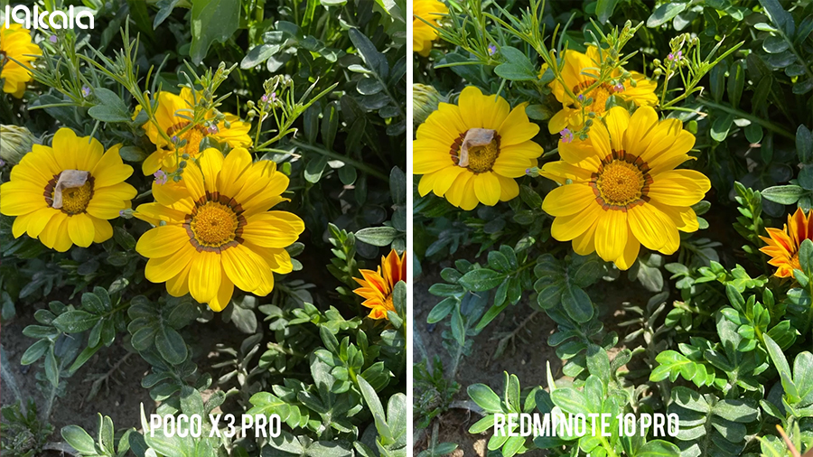 گوشی ردمی نوت 10 پرو بهترست یا پوکو ایکس 3 پرو