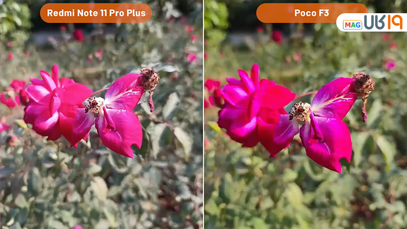 مقایسه redmi note 11 pro plus با poco f3 از نظر دوربین