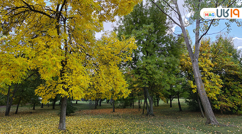 لنز اصلی دوربین شیائومی 12t pro